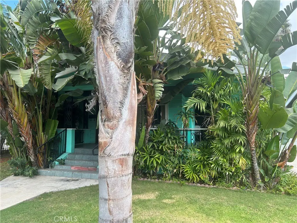 Picture 5