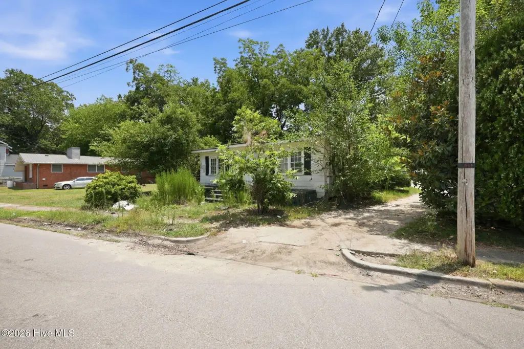 Picture 5