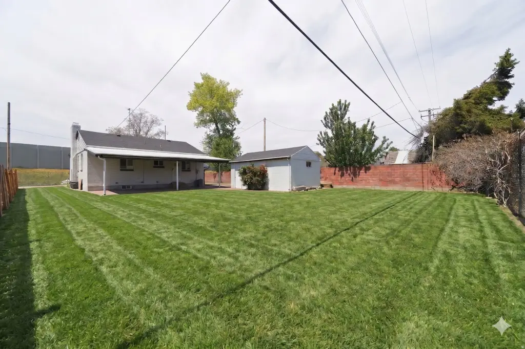 Picture 25