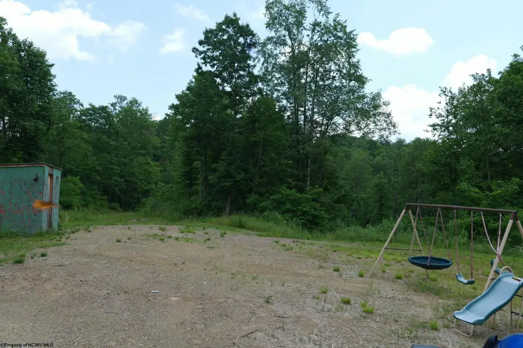 Picture 11