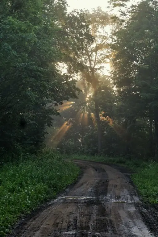 Picture 16