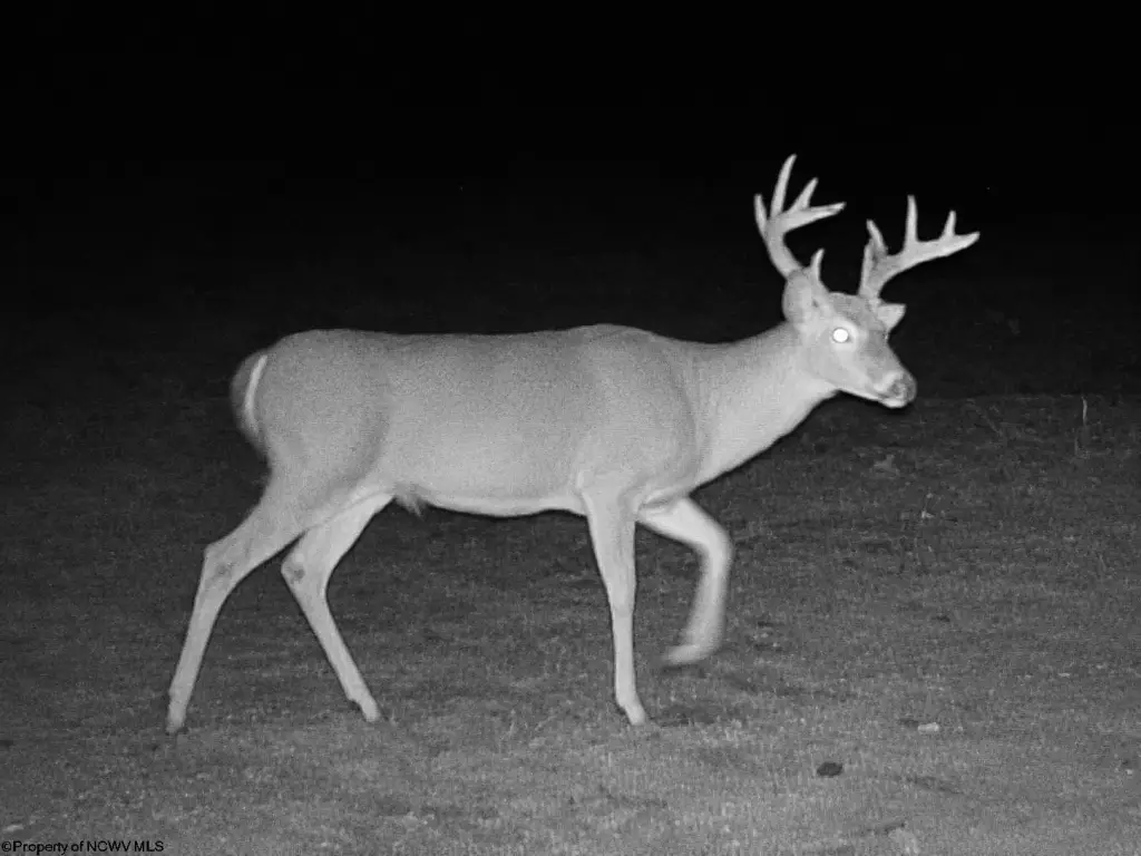 Picture 20