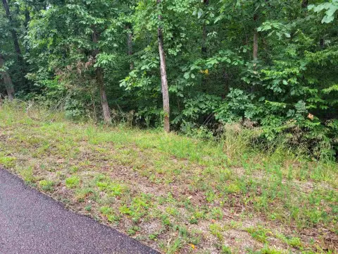 Counce, TN Hillside Building Lot
