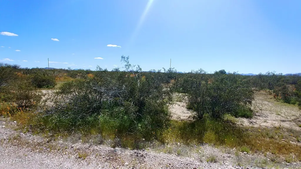 Picture 9