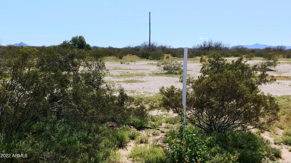 Picture 8