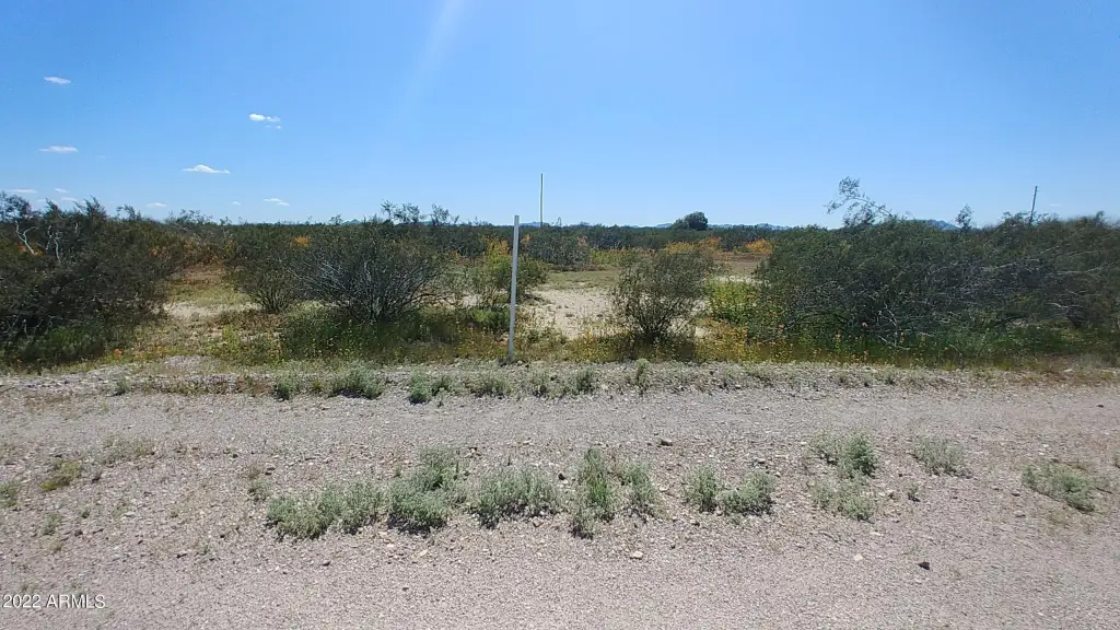 Picture 14