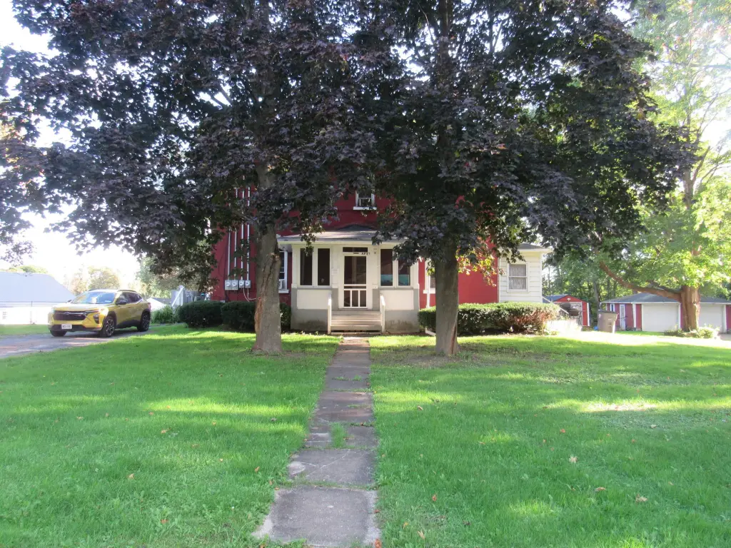 Picture 5