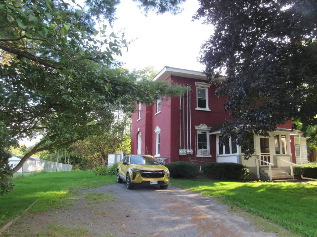 Picture 8
