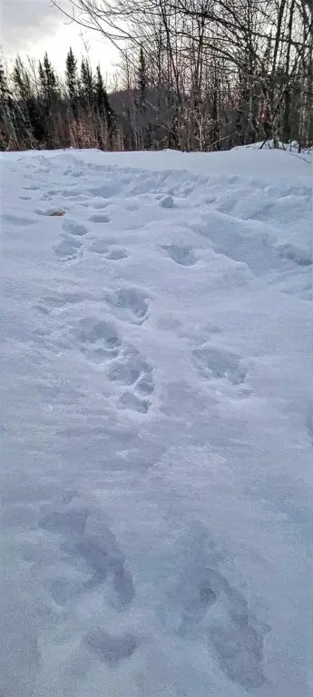 Picture 41
