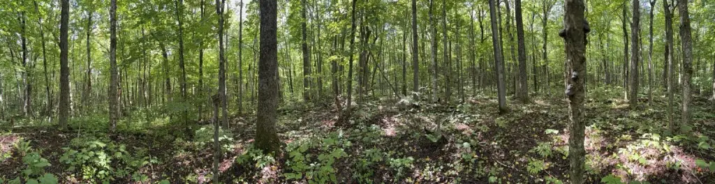 Picture 23