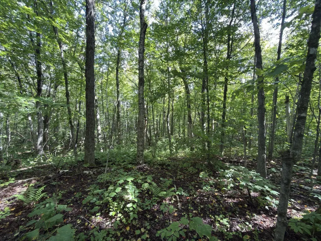 Picture 22