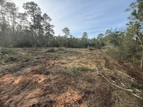9 Acres Near Avalon Blvd