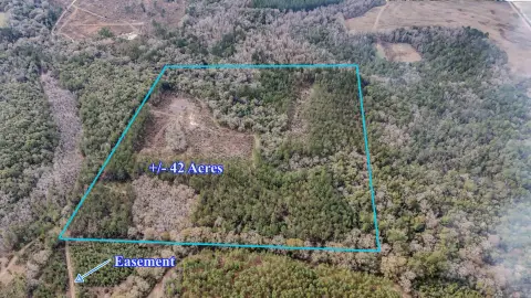 42 Acres of Hunting Paradise