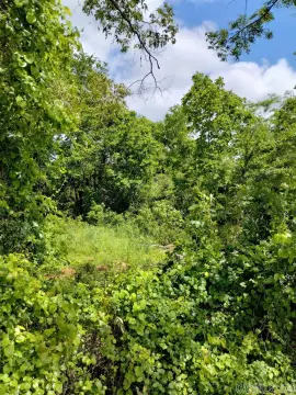 Residential Lot Near Center Point