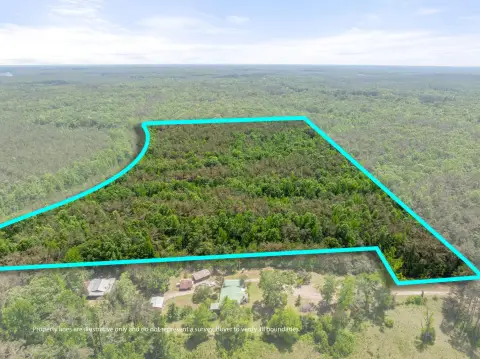 Mixed-Timber Hunting Land