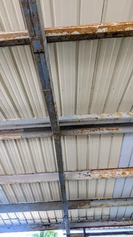 Picture 5