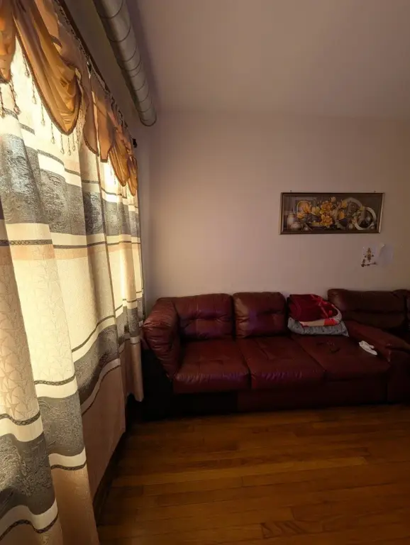 Picture 43