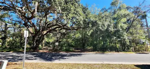 Residential Land in Leesburg, FL