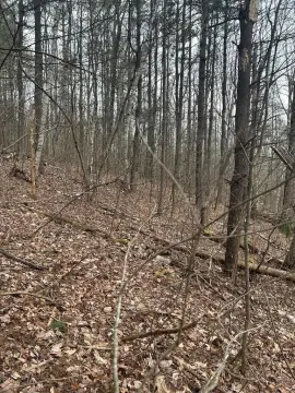 22 Acre Wooded Getaway Parcel