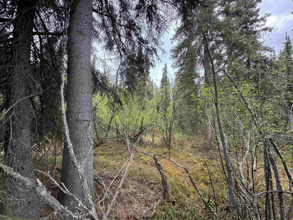 Picture 19