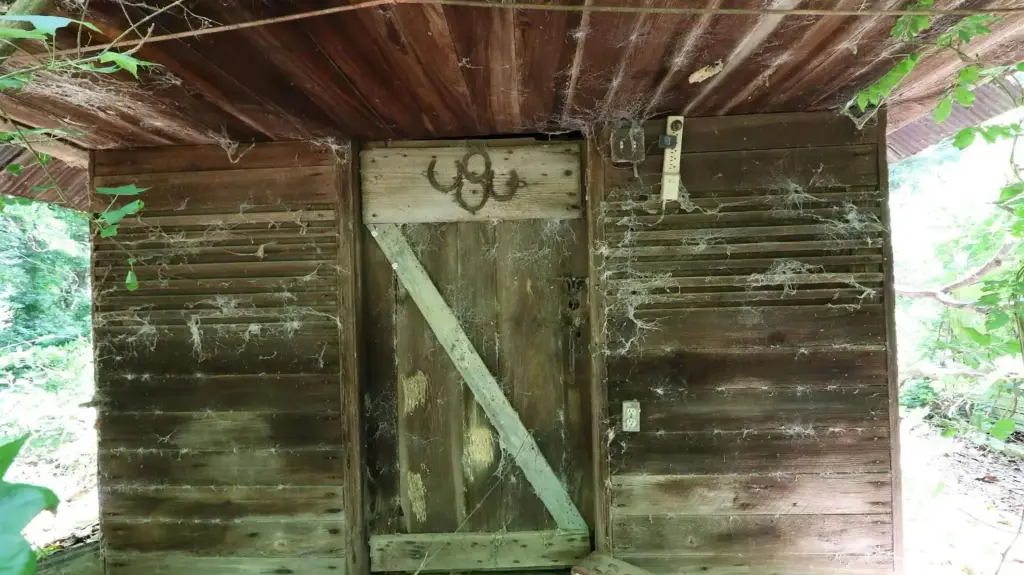 Picture 9
