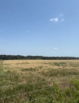 Industrial Land
