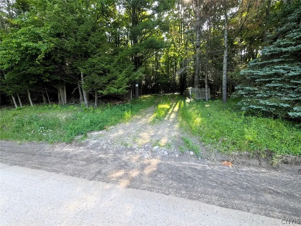 Picture 42