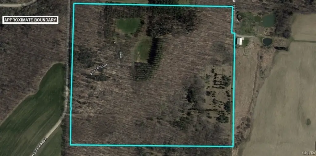 Picture 4