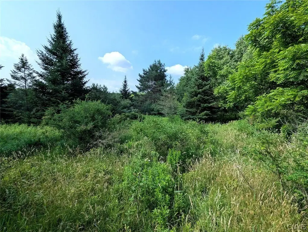 Picture 37