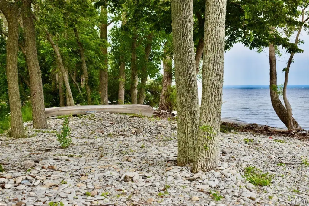Picture 16