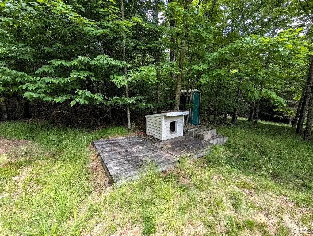 Picture 27