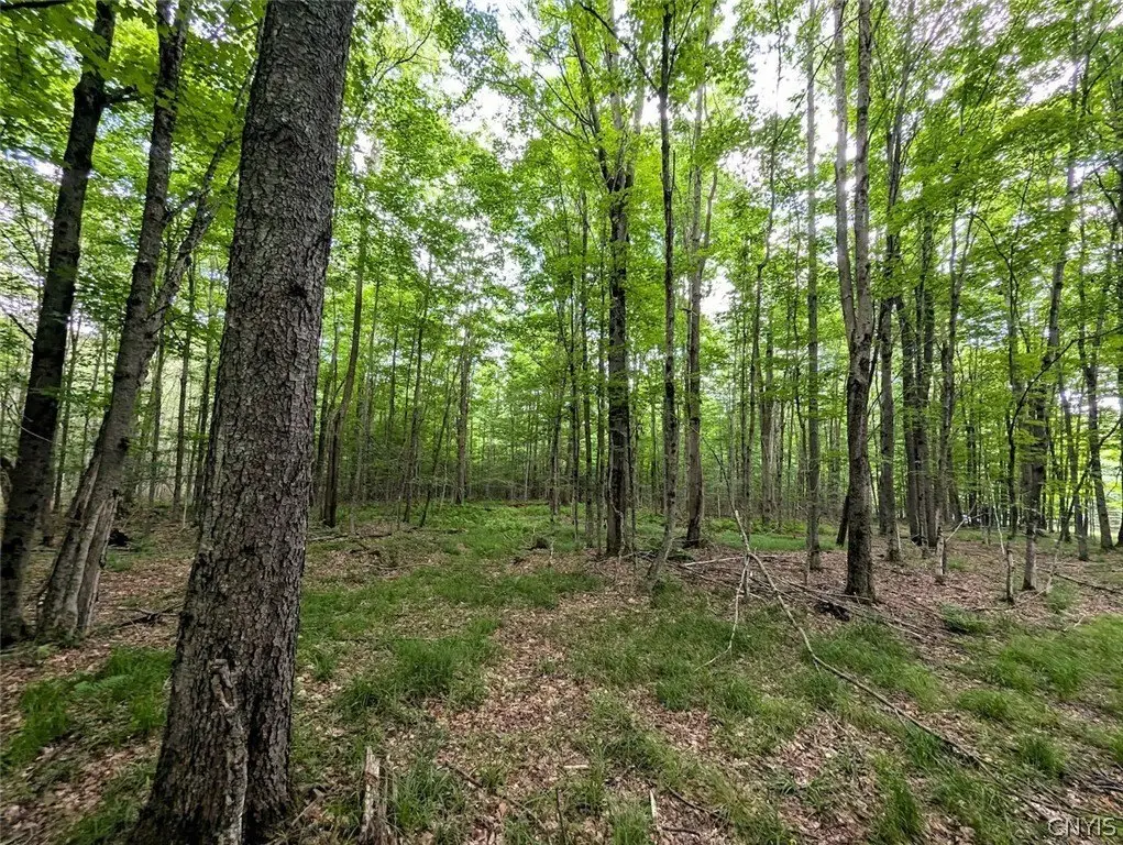 Picture 43