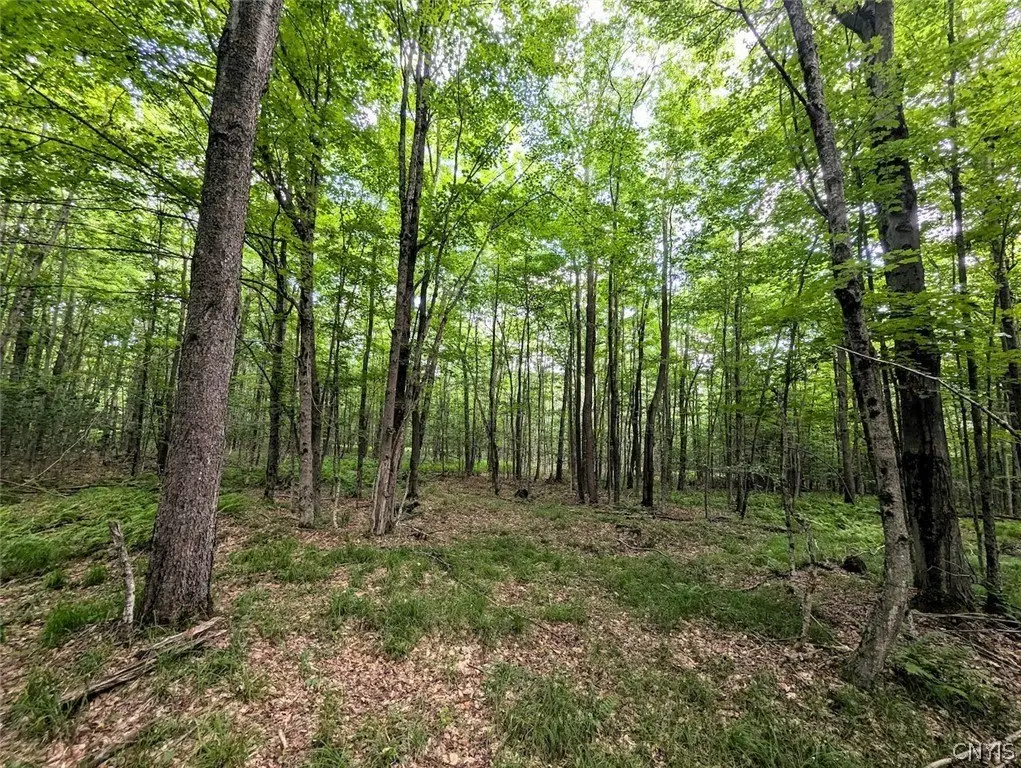 Picture 42