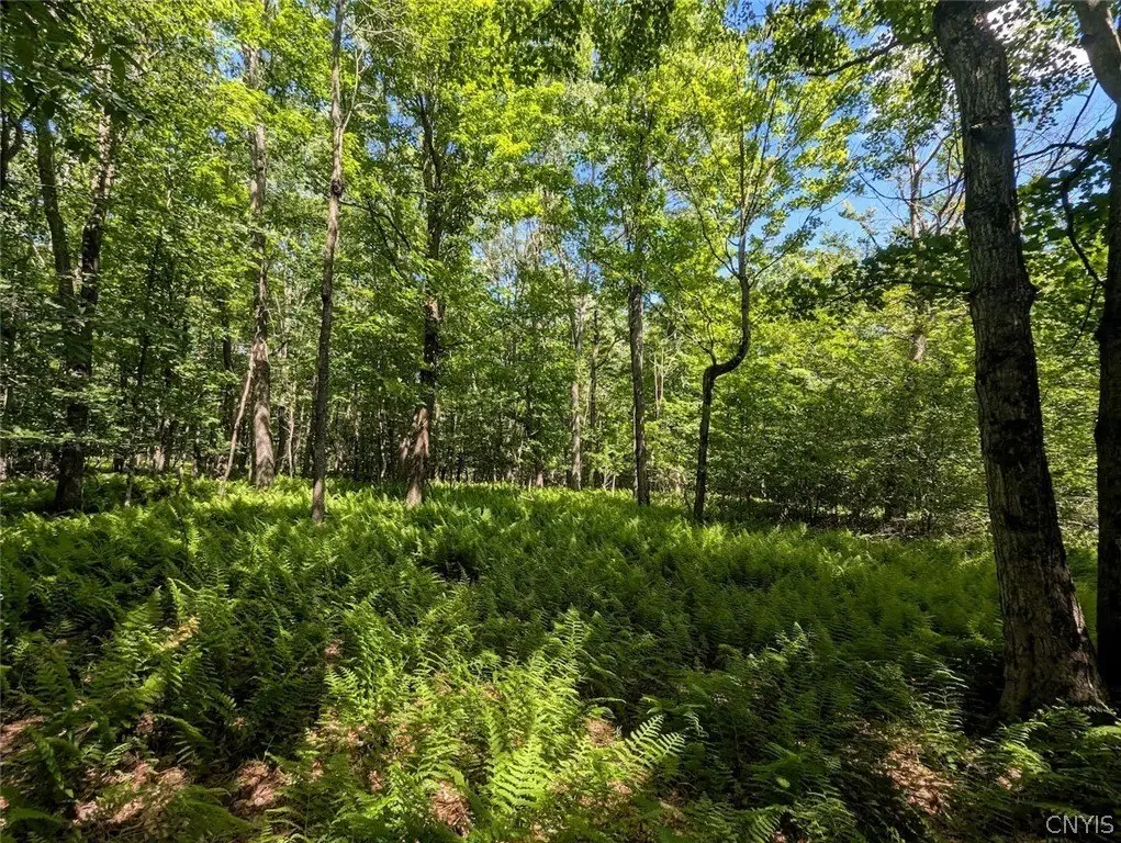 Picture 30