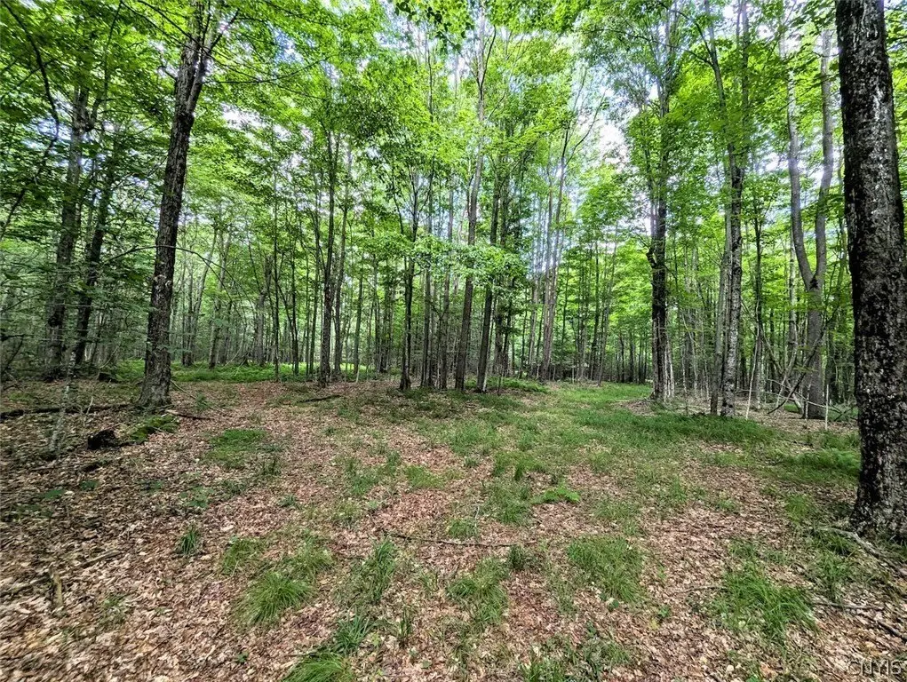 Picture 40