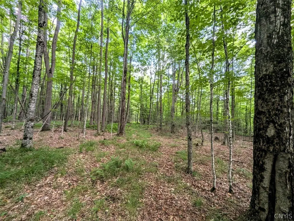 Picture 41