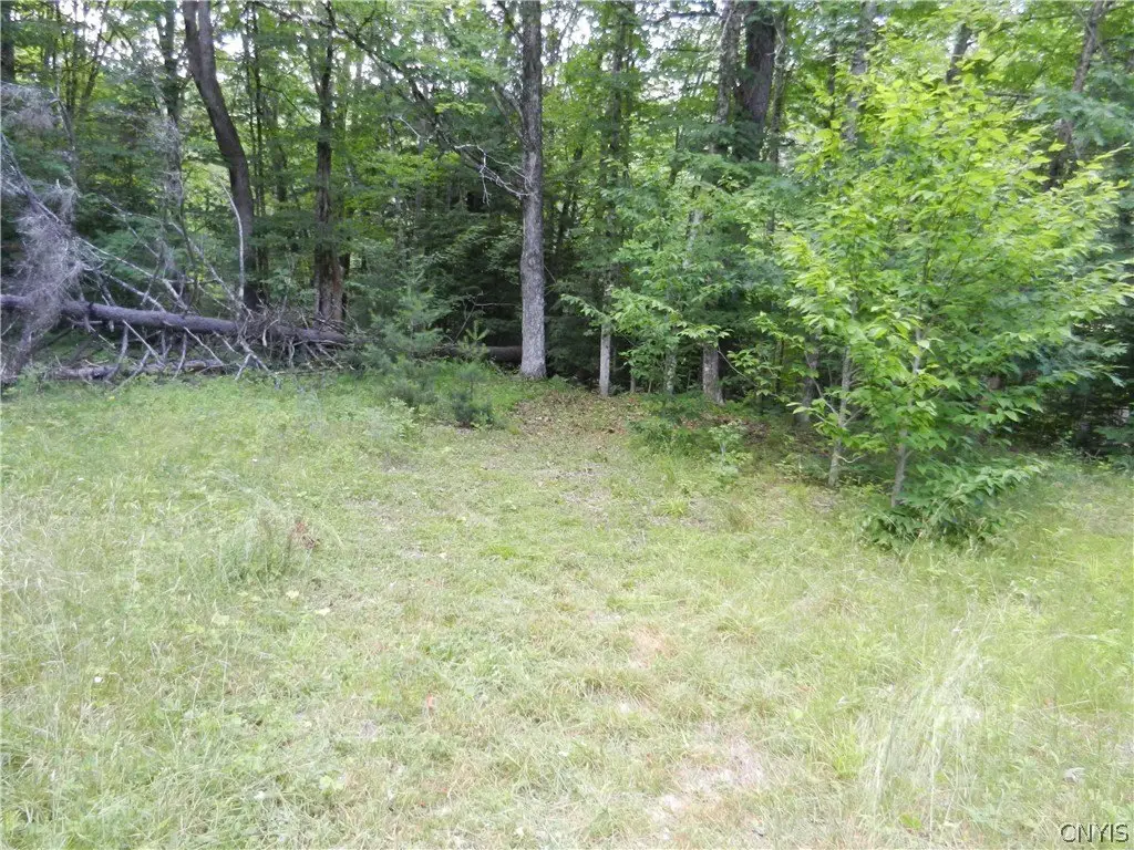 Picture 4
