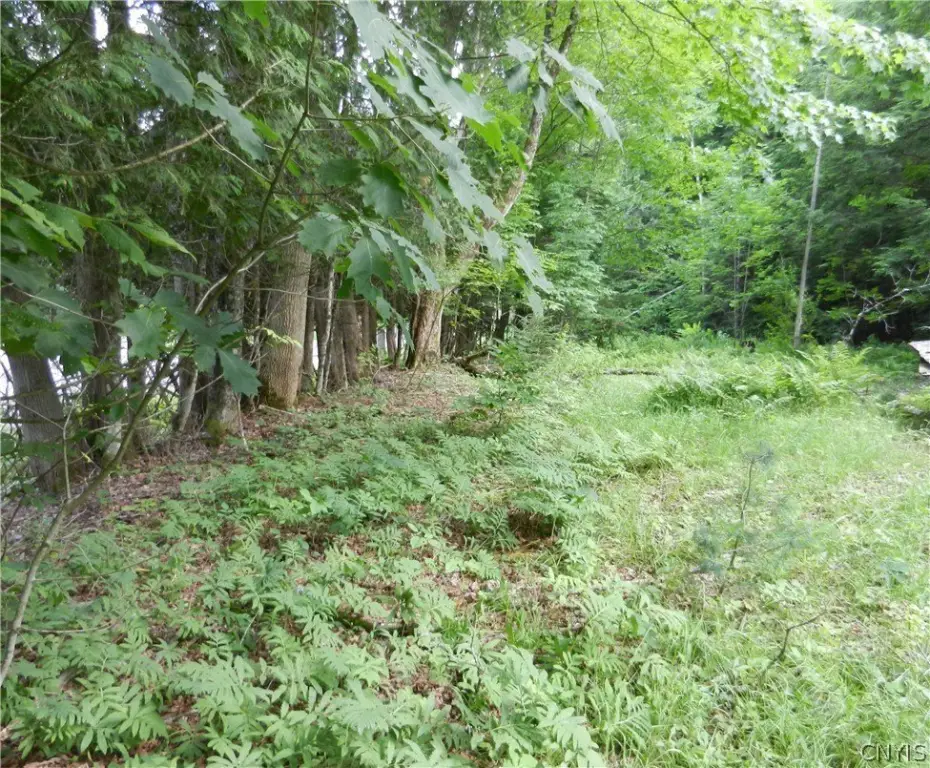 Picture 9