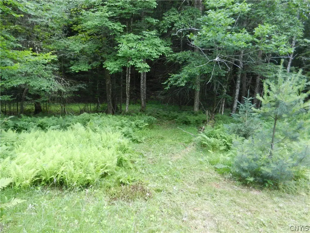 Picture 7
