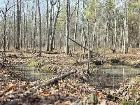 Tennessee Mountain Land Opportunity
