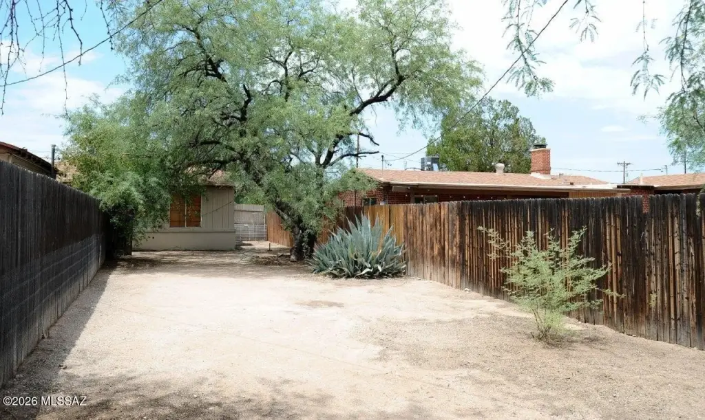 Picture 16