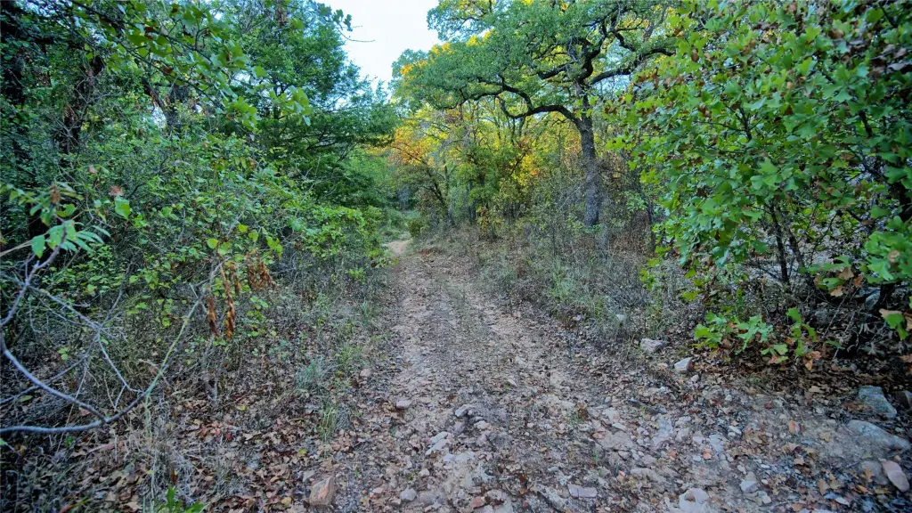 Picture 19