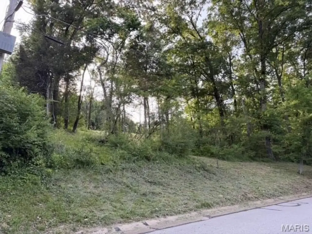 Picture 6