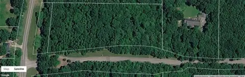 Wooded Lot in Rising Fawn