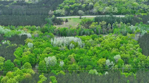Land Near Manistee National Forest