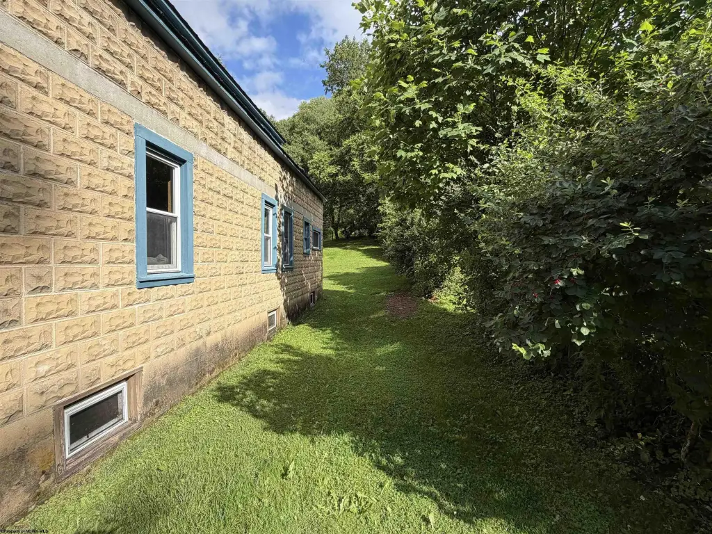 Picture 6