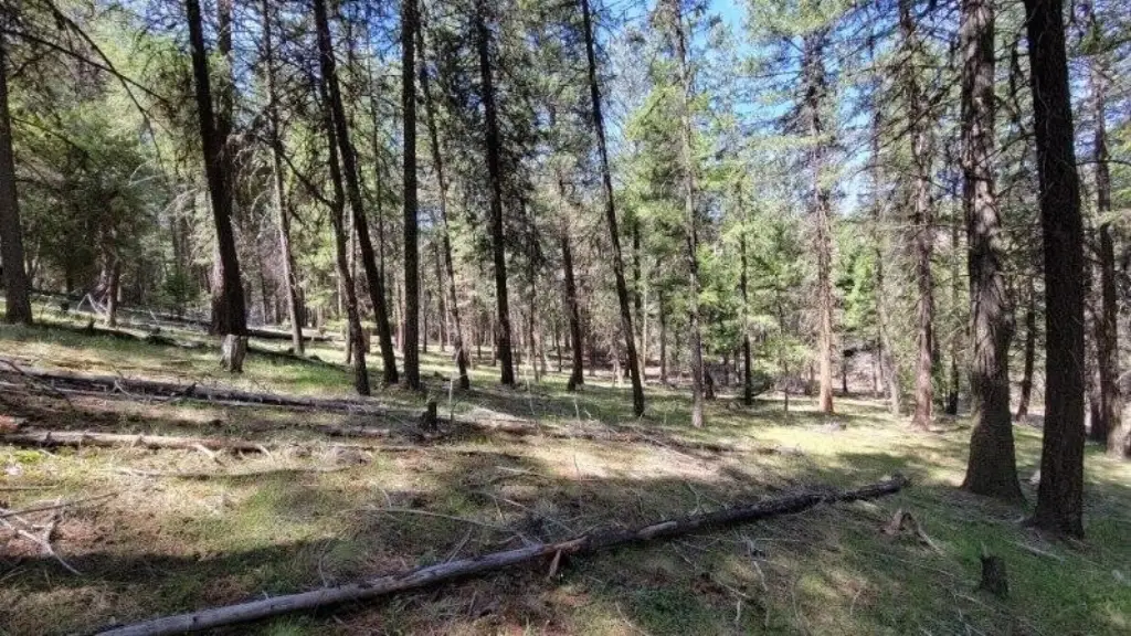 Picture 25