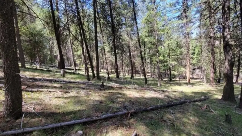 Picture 14