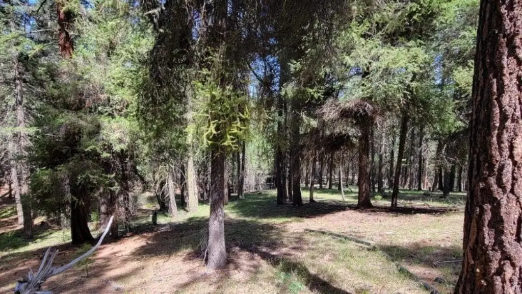 Picture 16