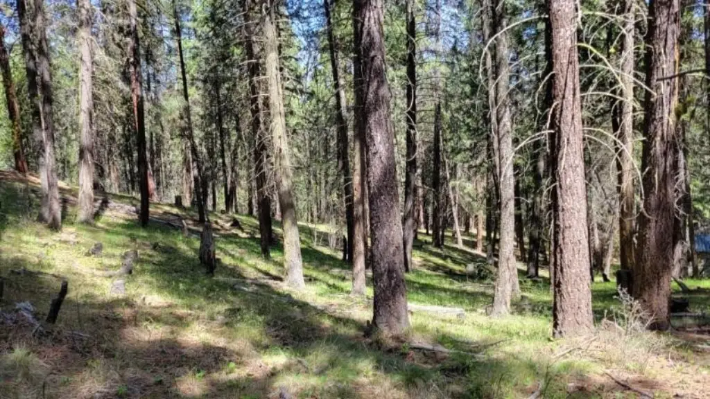 Picture 29